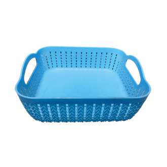 House using molds 20